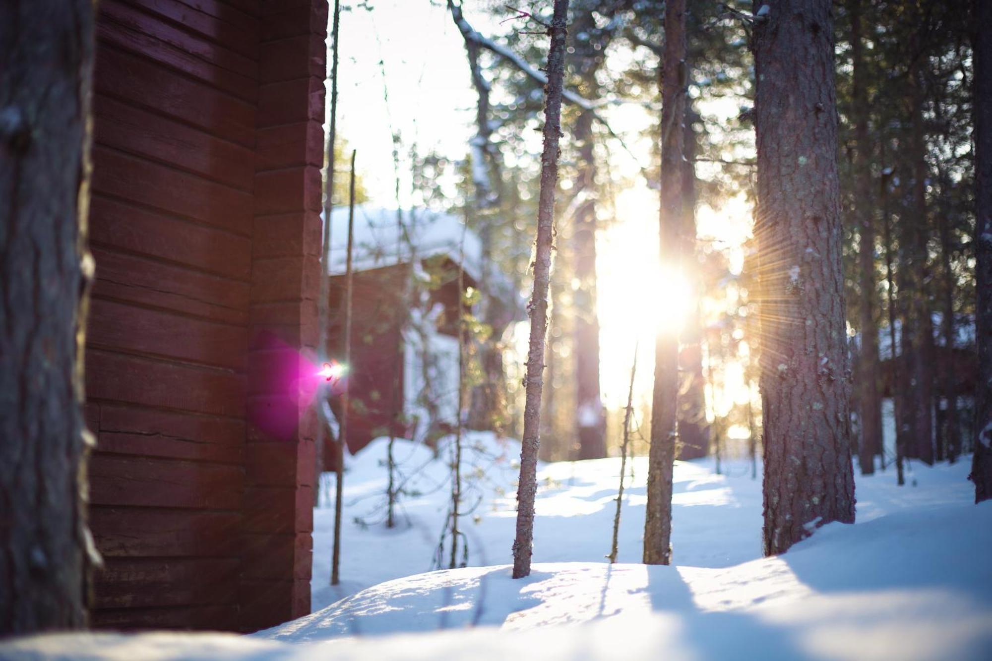 Crow Creek Cabins Инари Экстерьер фото